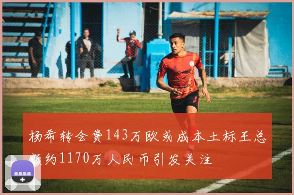 杨希转会费143万欧或成本土标王总额约1170万人民币引发关注