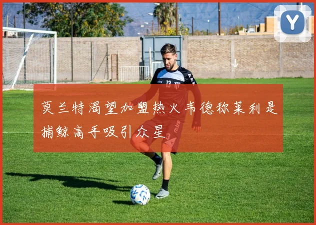 莫兰特渴望加盟热火韦德称莱利是捕鲸高手吸引众星