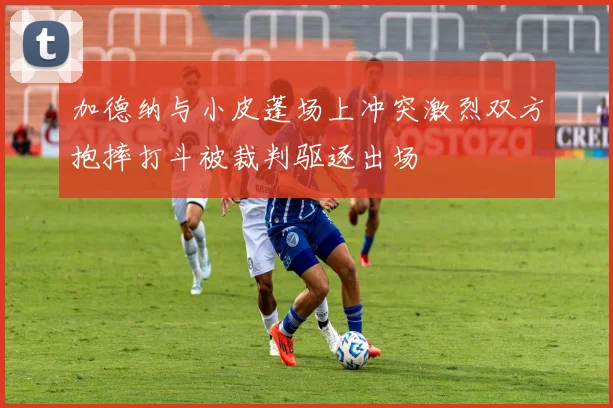 加德纳与小皮蓬场上冲突激烈双方抱摔打斗被裁判驱逐出场
