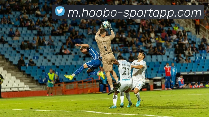 好博足球平台生态图